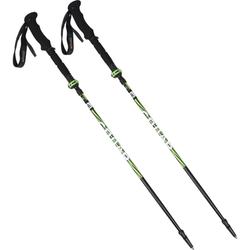 Палки треккинговые СПЛАВ Element Pro Alu