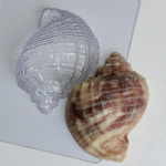 Форма пластиковая Ракушка/Рапан