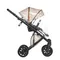Коляска ANEX e/type 3 в 1 (et-SE04) joy