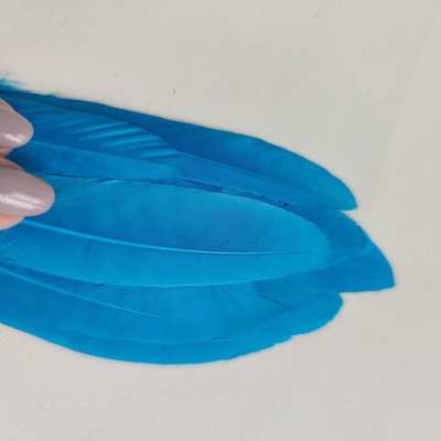 Перья утки голубые 2 сорт 15 шт.