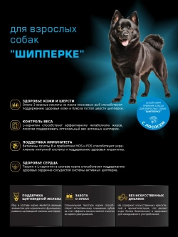 Корм сухой для собак породы Шипперке, с лососем, 12 кг
