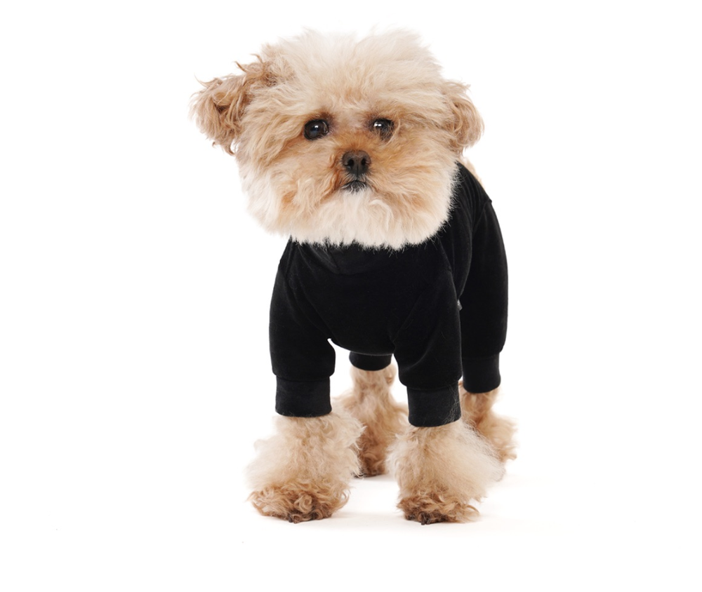 004 Костюм (ВЕЛЮРОВЫЙ) с высоким воротом "Angel Monsters Velour Highneck" Puppy Angel
