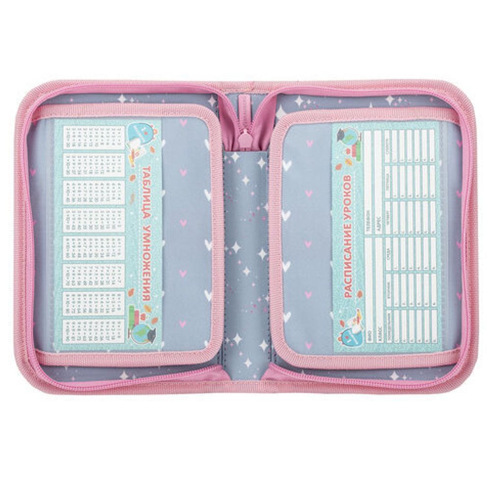 Пенал BRAUBERG, 1 отделение, 2 откидные планки, полиэстер, 21х14 см, "Anime friends", 272319