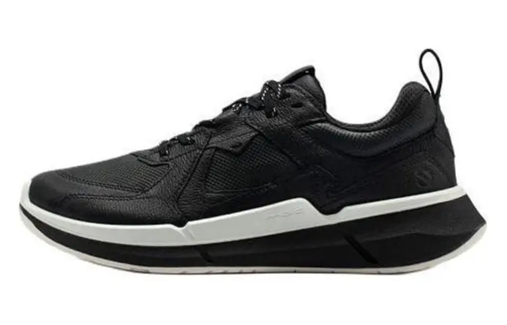 Ecco Biom 2 0