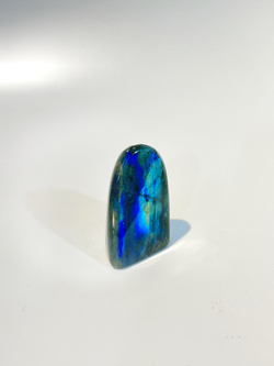 Срез Лабрадора S