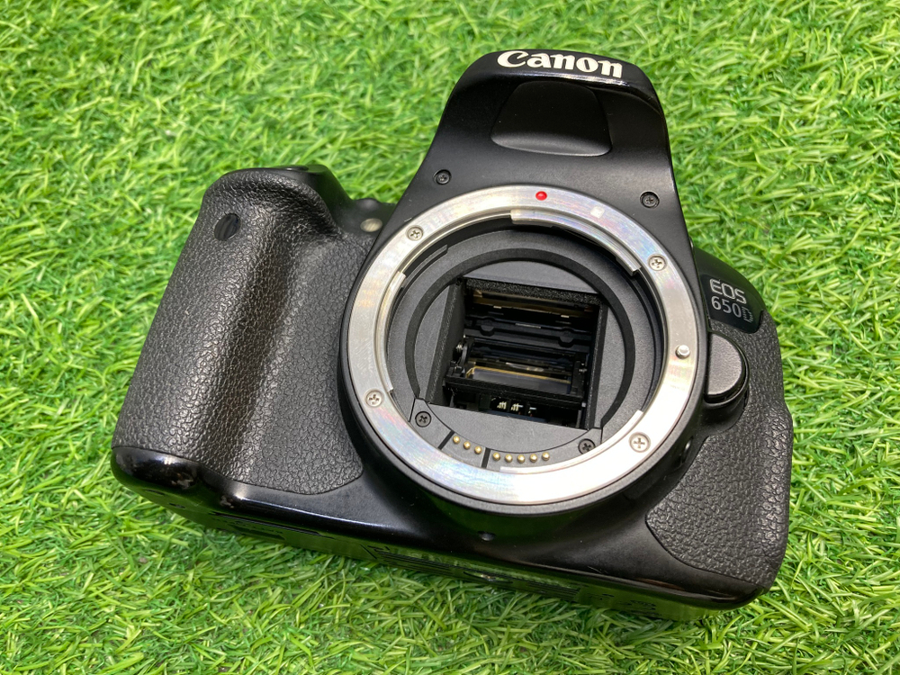 Canon EOS 650D (230.000 кадров)