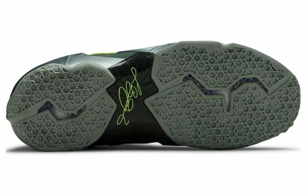 Кроссовки Nike Lebron 11 Dunkman