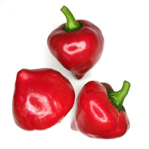 Перец Сердцевидный Леся- Lesia Pepper