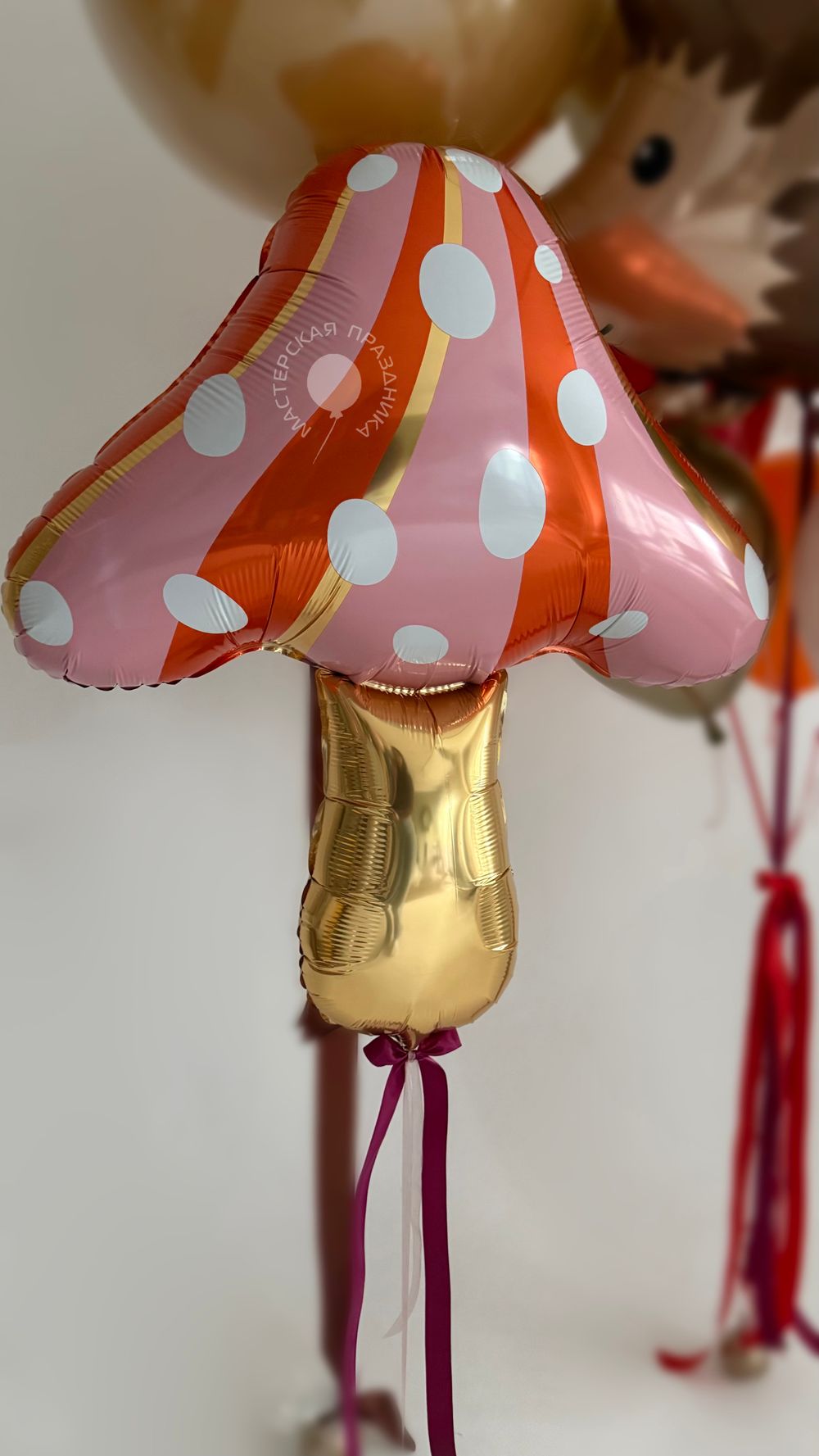 Воздушные шары для девочки №8854  Изображение3