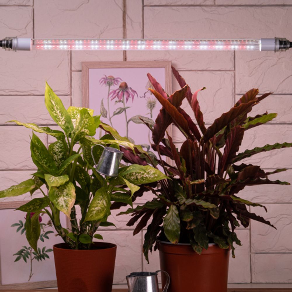 Фитолампа для растений светодиодная ЭРА FITO-9W-Ra90-Т8-G13-NL полного спектра 9 Вт Т8 G13 | Фитолампы T8