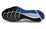 Кроссовки Nike Air Zoom Type Se 3M