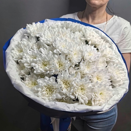 Букет из 9 хризантем сорта "BALTICA WHITE"