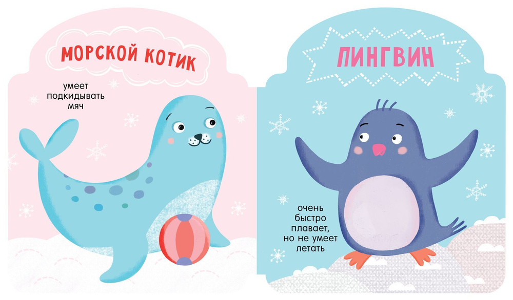 EVA. В зоопарке