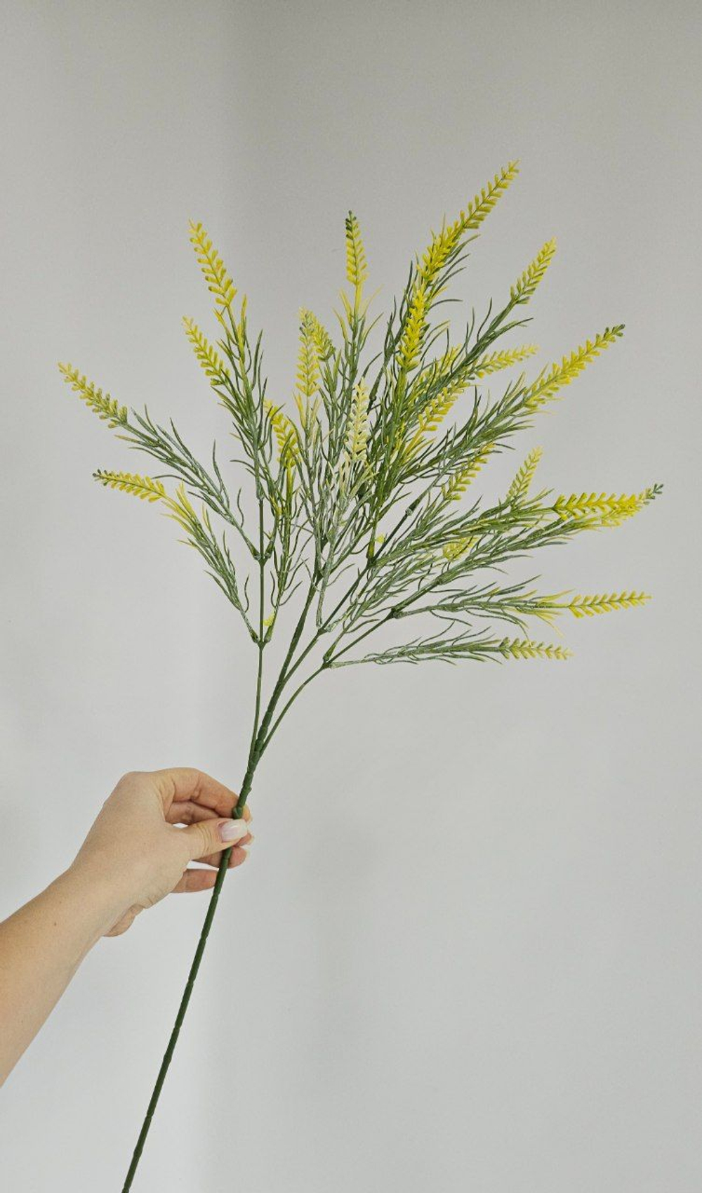 Ветка амброзии / Арт 5172