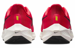 Кроссовки Nike Air Zoom Pegasus 39