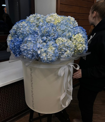 Индийский океан