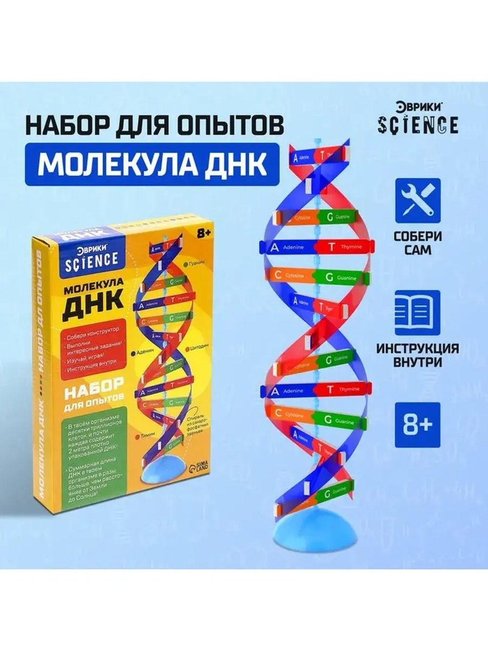 Набор для опытов «Молекула ДНК»