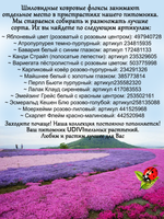 Флокс Эсмеральд Кашен Блю шиловидный голубой