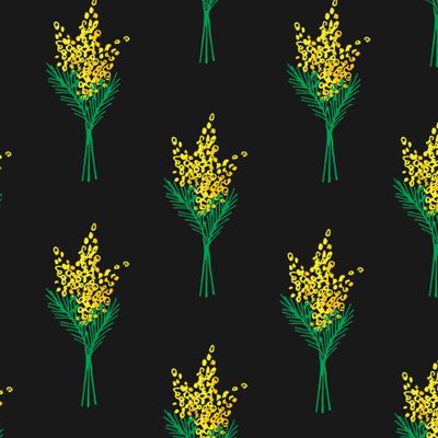 Мимоза на черном