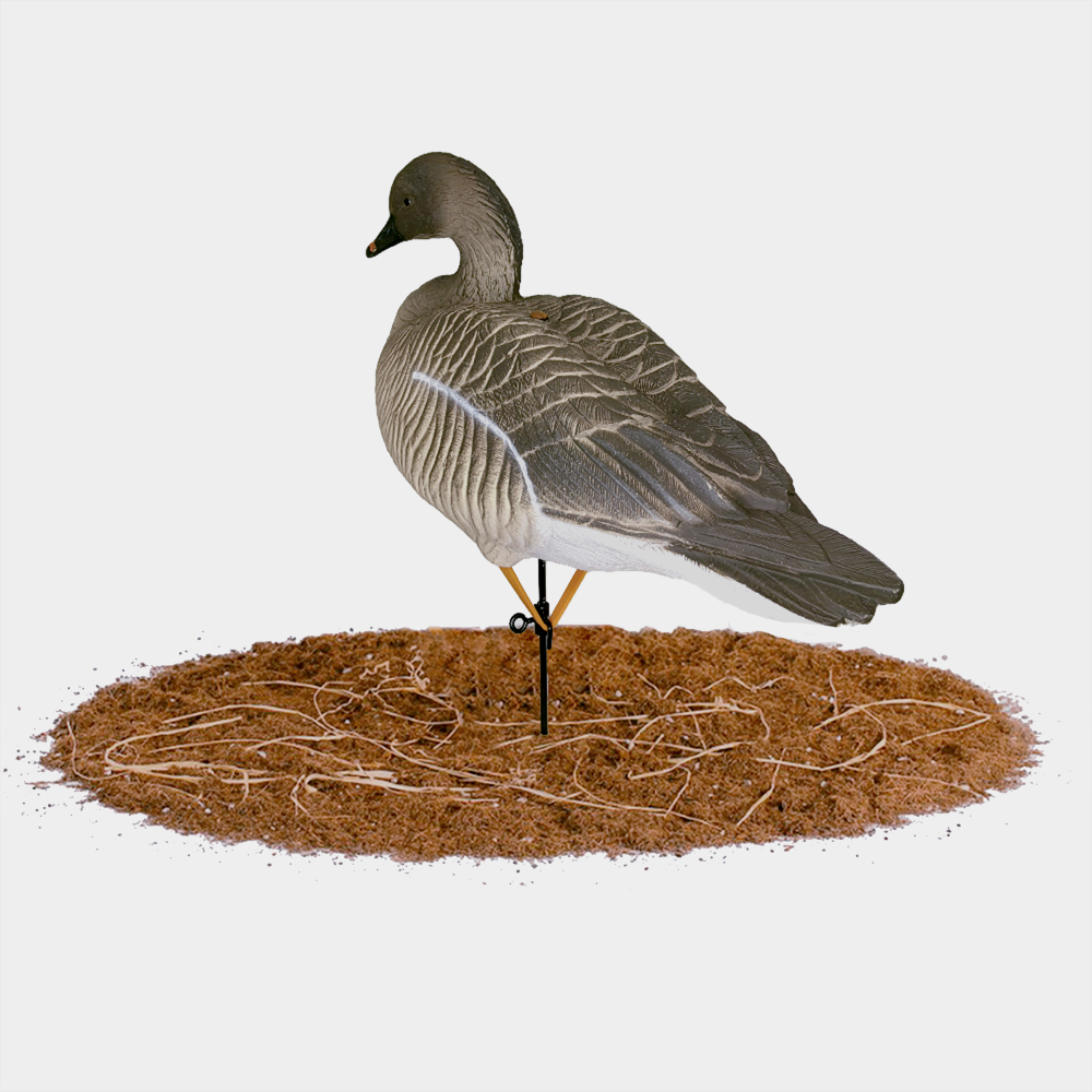 Гусь гуменник Duck Mania "ALFA"