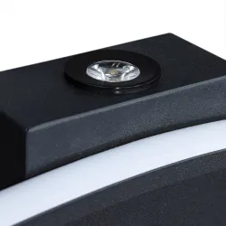 Настенный светильник Arte Lamp ALUDRA