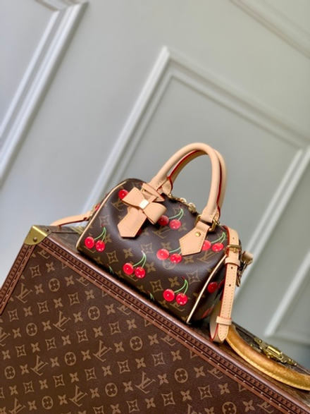 Louis Vuitton Speedy 20