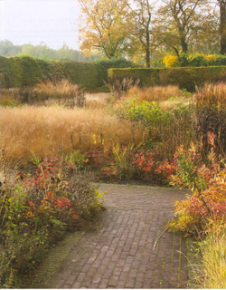 Planting: A New Perspective