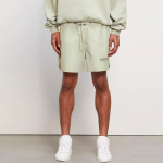 Шорты Fear of God Essentials FW20 Volley Shorts Sage, 0160250500083012