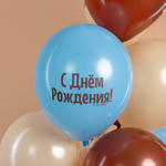 Шар 12" Ассорти С Днем Рождения, сердитая кошка ДБ 10 шт