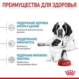 Сухой корм Royal Canin Giant Starter для щенков очень крупных размеров до 2 месяцев, беременных и кормящих сук