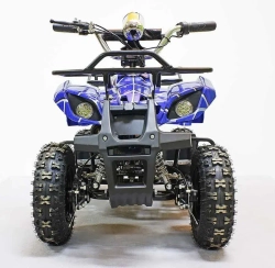 Электроквадроцикл Green Camel Гоби K31 (36V 800W R6 Цепь) ножной тормоз