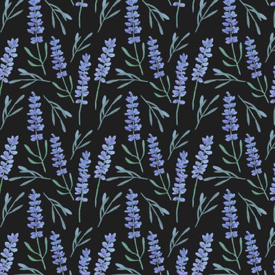 Нежная лаванда на чёрном фоне