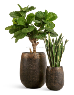 Кашпо TREEZ Effectory - Metal - Округлая чаша - Rough с золотой патиной