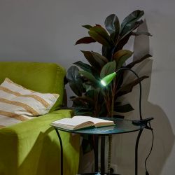 ULM-D501 4W-4000K GREEN Светильник настольный светодиодный прищепка. Механический выключатель. Зеленый. TM Uniel