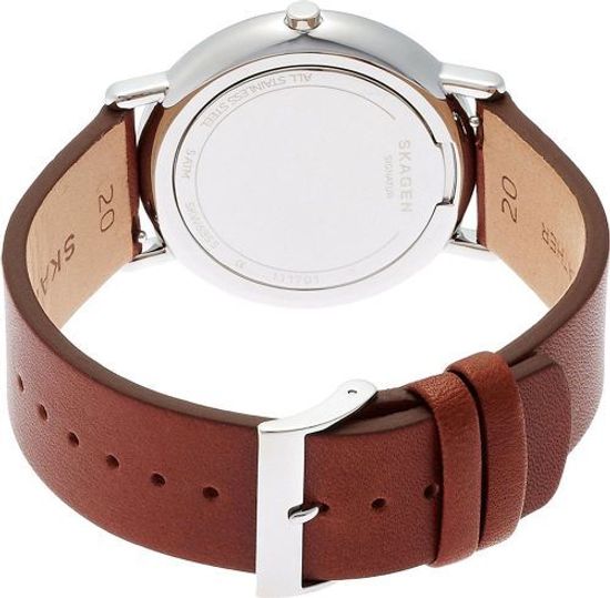 Мужские часы Skagen SKW6355