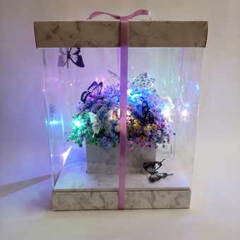 Радужная гипсофила с гирляндой в подарочной коробке "Эффект бабочки 2.0"