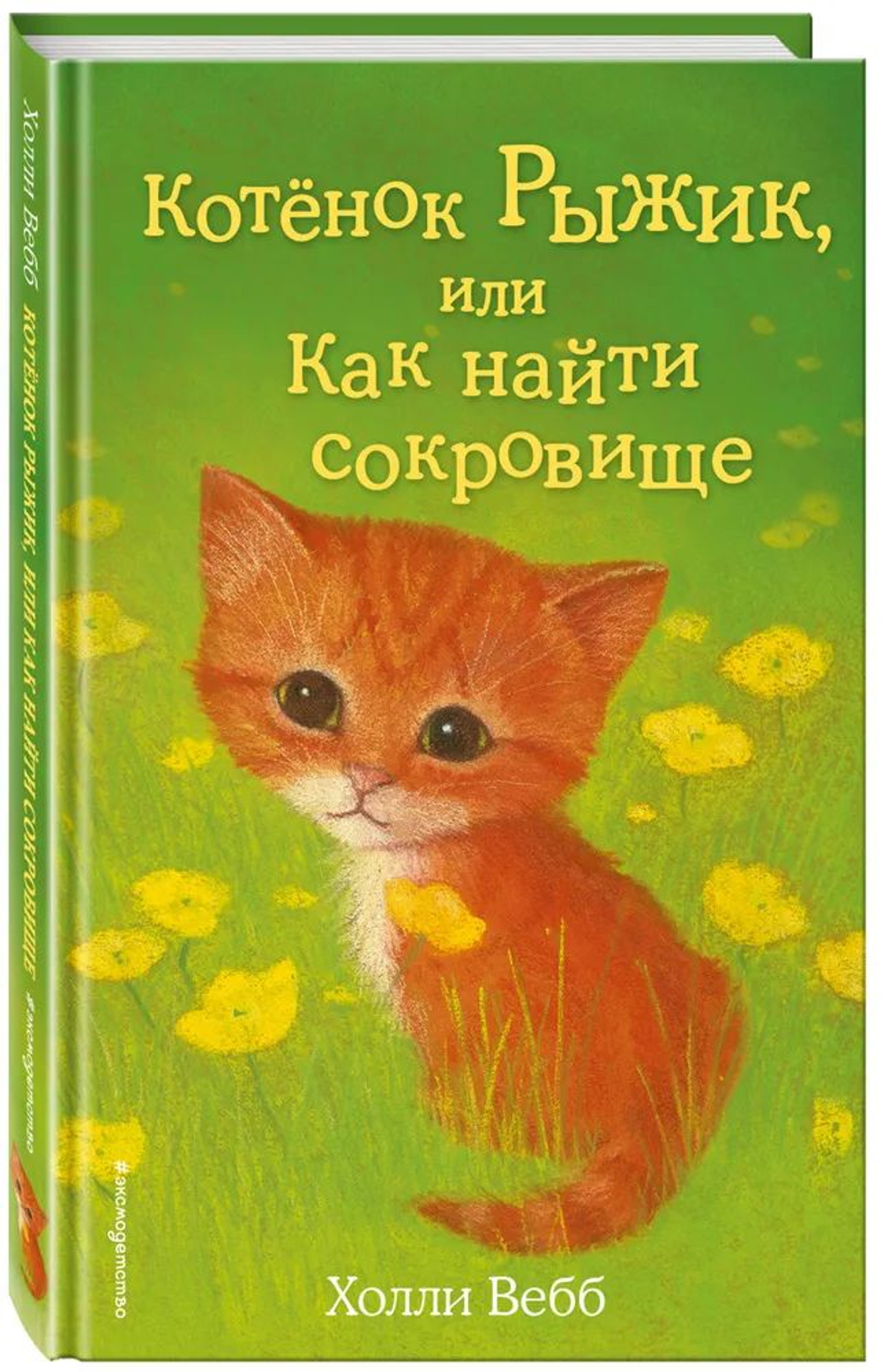 Котёнок Рыжик, или Как найти сокровище (выпуск 13)