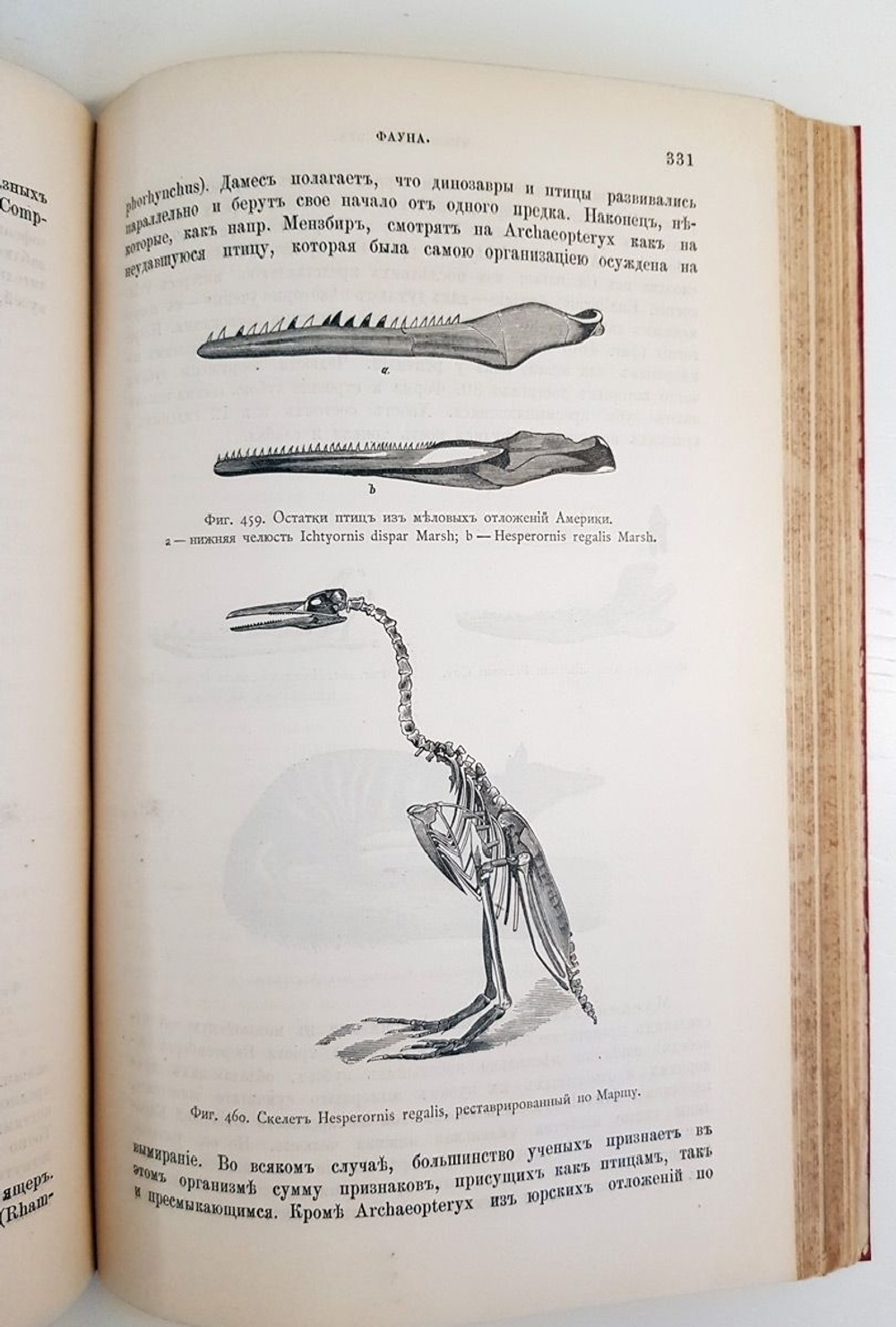 "Геология. Общий курс. В двух томах. Том 2". А.А. Иностранцев. 1887г. - антикварная книга