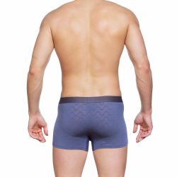 Мужские трусы боксеры фиолетовые Sergio Dallini SG2303-1