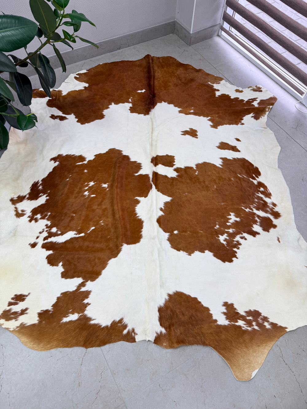 Коровья шкура на пол натуральная.
