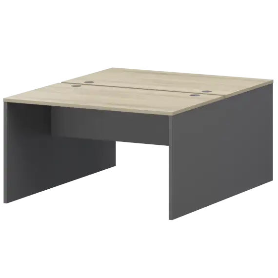 Бенч двойной Тип2 СМСР25-2.12.73  1200x1496x750 Смарт