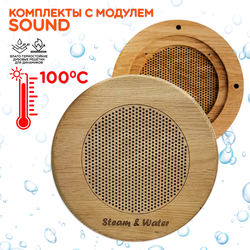 Комплект домашней акустической системы с караоке-усилителем Steam & Water SOUND SAUNA R7