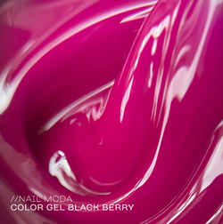 Nail Moda Gel Black Berry - Гель моделирующий цветной, 15мл