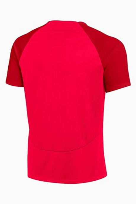 Футболка Nike Dry Academy Pro SS