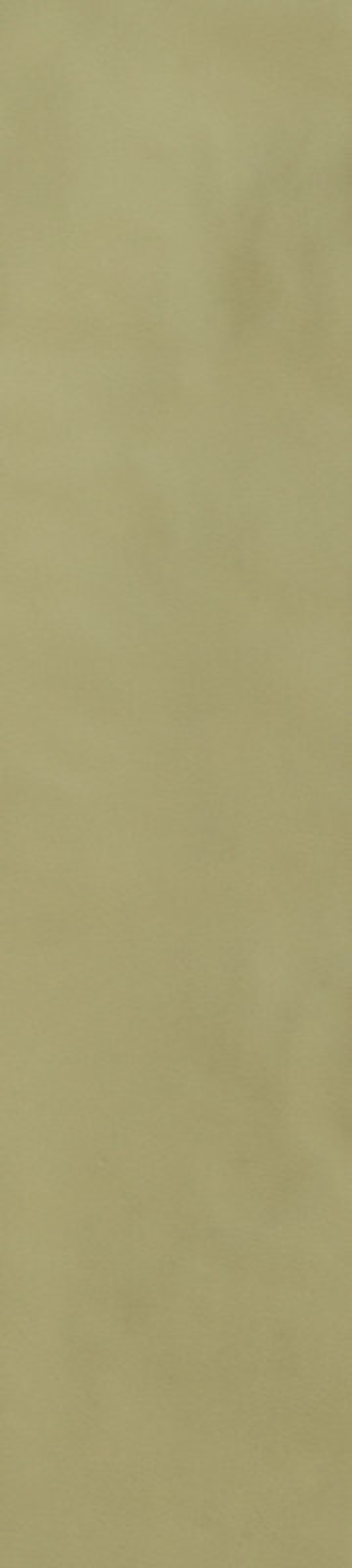 Керамогранит 786011 SensiColore Salvia Glossy 5,7x23,2