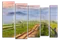 Модульная картина "Проселочная дорога"