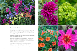 Containers in the Garden