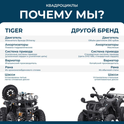 Квадроцикл TIGER Max Grade 300