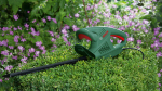 Кусторез EasyHedgeCut 45 BOSCH 0600847A05