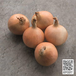 Дритан F1 семена лука репчатого (Bejo / Бейо)